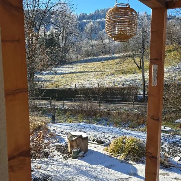 Nad Strumieniem，位于Pieszyce的酒店