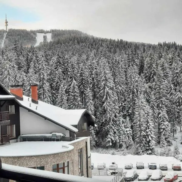 Pine forest apartments，位于潘波洛沃的酒店