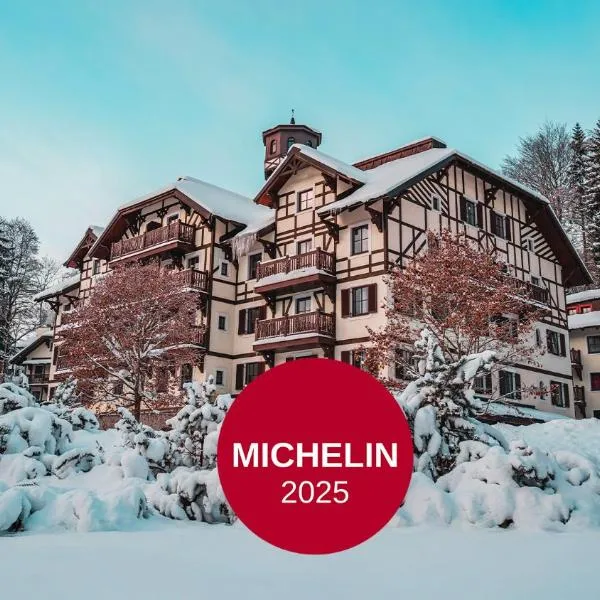 Hotel Savoy Špindlerův Mlýn，位于什平德莱鲁夫姆林的酒店