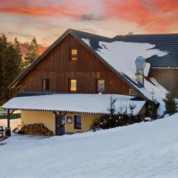 Penzion Čekanka，位于斯特拉兹内的酒店