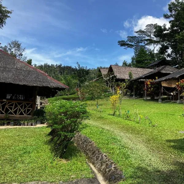 Backpacker's Hill Resort，位于圣维森特的酒店