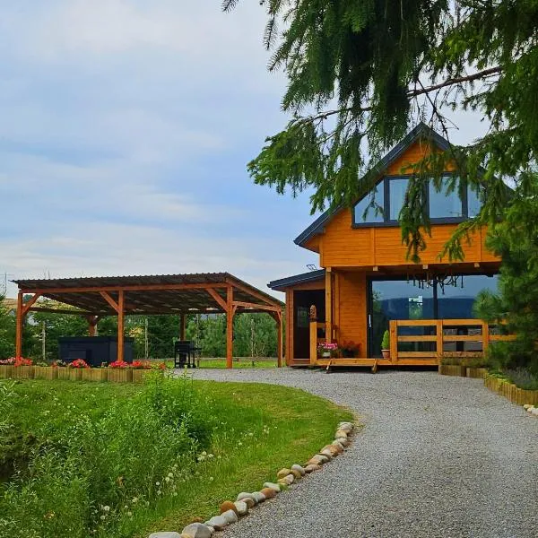 PrzyStań pod Łysą Górą，位于Bostów的酒店