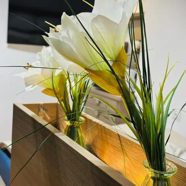 CitiMarina56，位于布罗德尼察的酒店