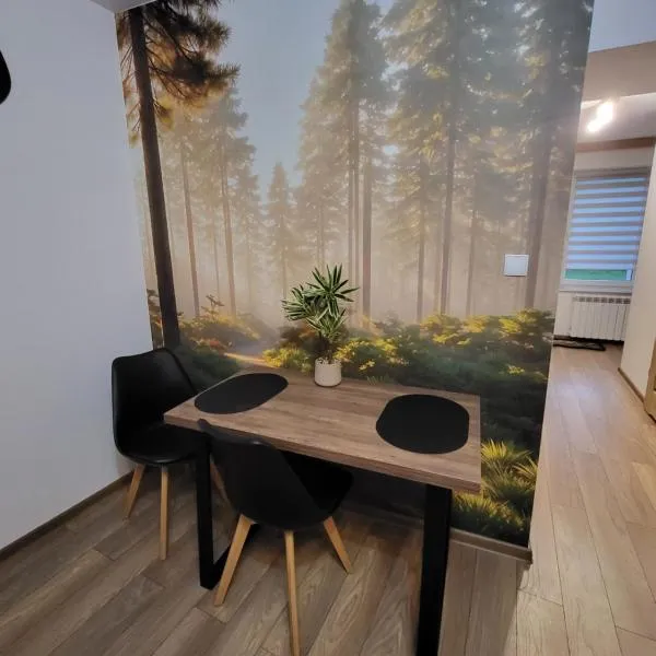 Apartament Nowomiejski，位于卢巴瓦新城的酒店