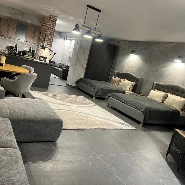 Astin Studio Vratsa Central，位于Vratsa的酒店