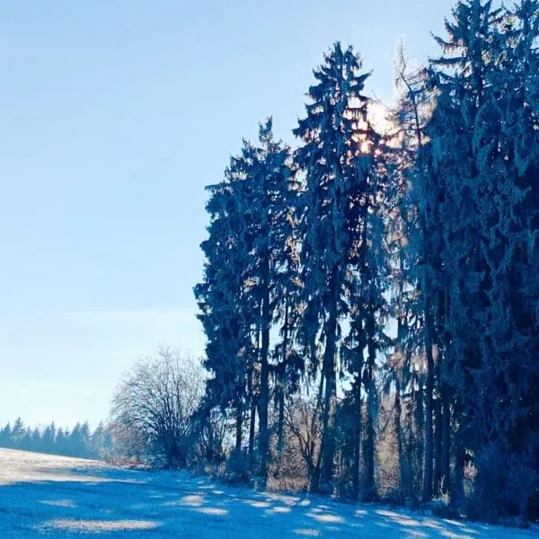 Pension Fanlor，位于Zubčická Lhotka的酒店