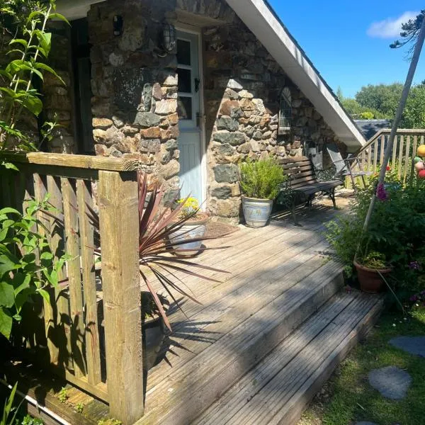 Lofthouse - secluded quirky cottage with sea views!，位于纽波特的酒店