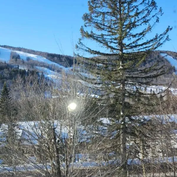 Mountain view chalet avec vue sur la montagne，位于斯托纳姆的酒店