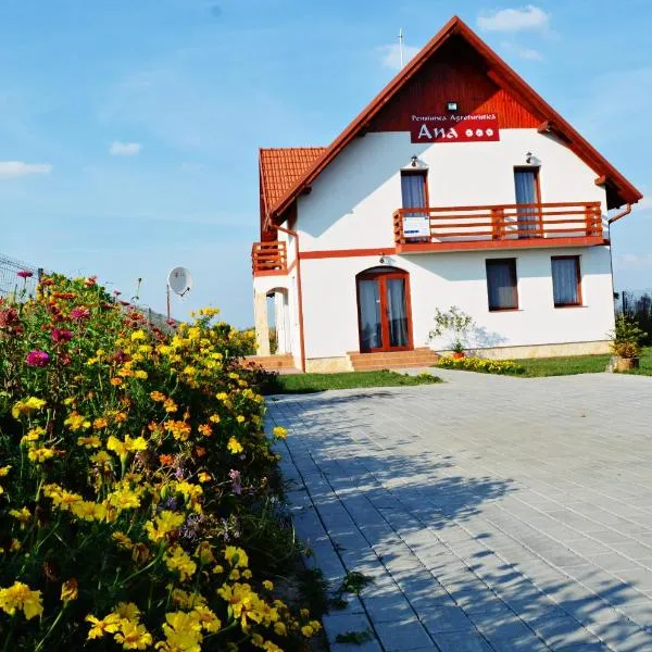 Pensiunea Ana，位于Odoreu的酒店