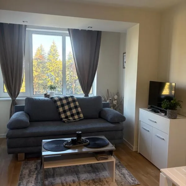 Chamkoria Borovets luxury apartment view，位于波罗维茨的酒店