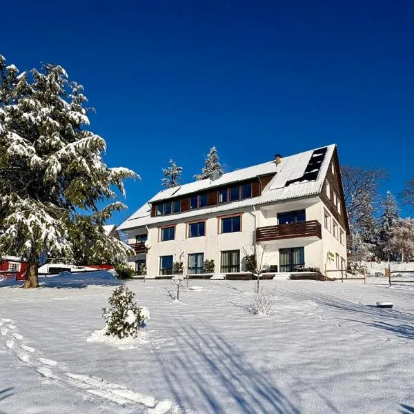 Berghotel Hohegeiß，位于霍盖思的酒店