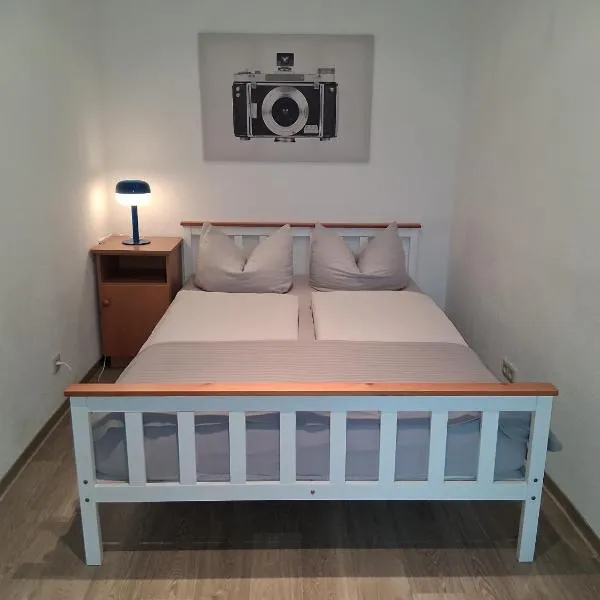 Große Stadtwohnung mit Balkon，位于茨维考的酒店