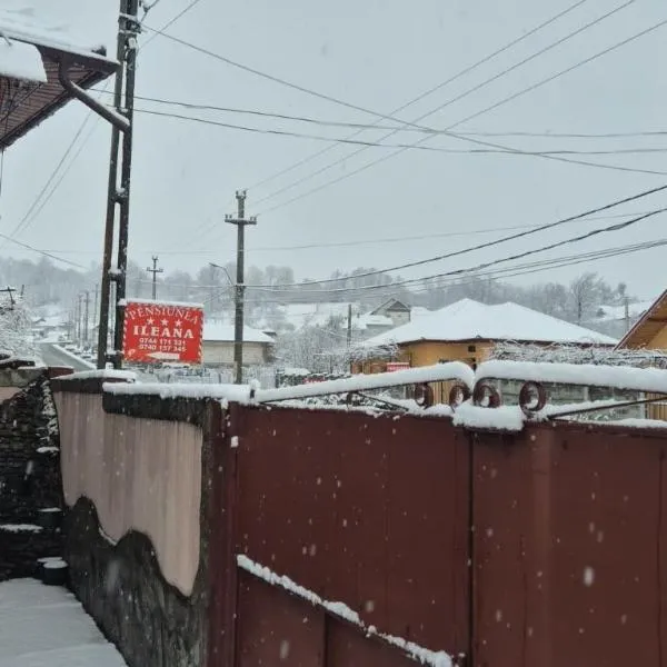 Pensiunea Ileana，位于诺瓦齐- 斯特拉尼的酒店