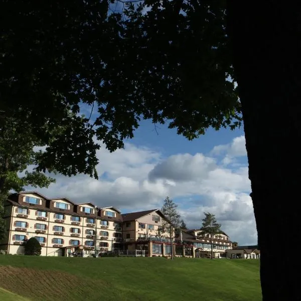 Chestnut Mountain Resort，位于加利纳的酒店