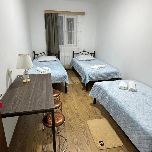 NAPO HOTEL სასტუმრო ნაპო，位于祖格迪迪的酒店