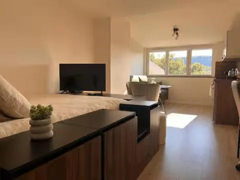 Appartement Le nid sur l'Ain，位于尚帕尼奥勒的酒店