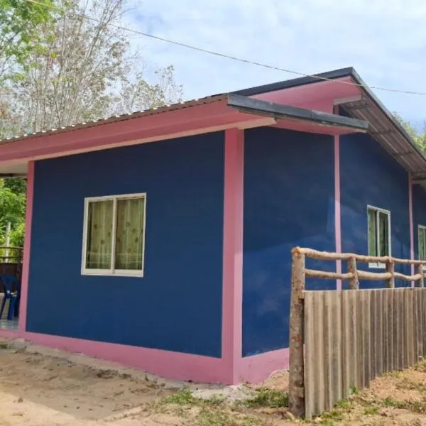 Nasin House，位于Ko Bu Bu的酒店