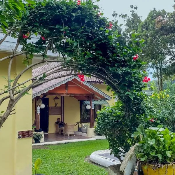 Sumatra Cheeky Monkeys，位于武吉拉旺的酒店