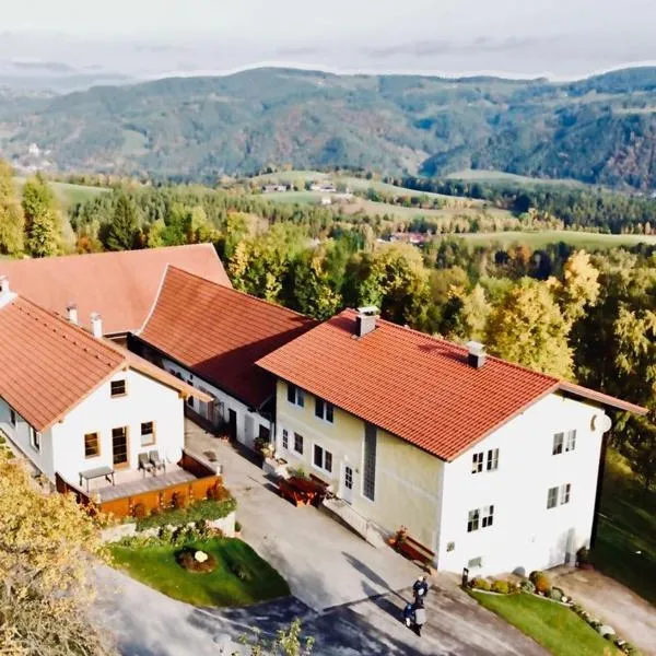 Ferienhaus am Bauernhof mit Terrasse nähe Wexl Arena，位于韦希瑟尔山麓圣科罗纳的酒店