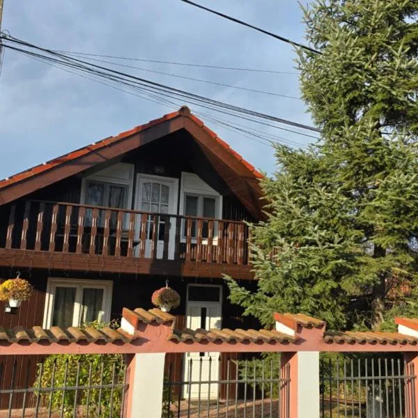 AVS Snagov Chalet，位于斯纳戈夫的酒店