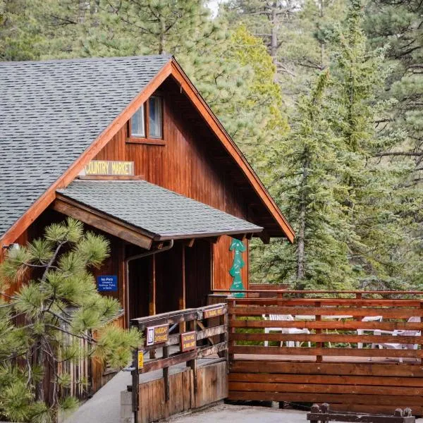 Idyllwild Camping Resort Wheelchair Accessible Cottage，位于Mountain Center的酒店