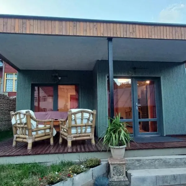 Alpine Yard Nest Busteni，位于布什泰尼的酒店