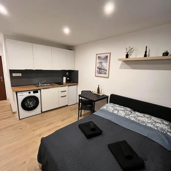 Apartmán Mlynská，位于托普拉河畔弗拉诺夫的酒店