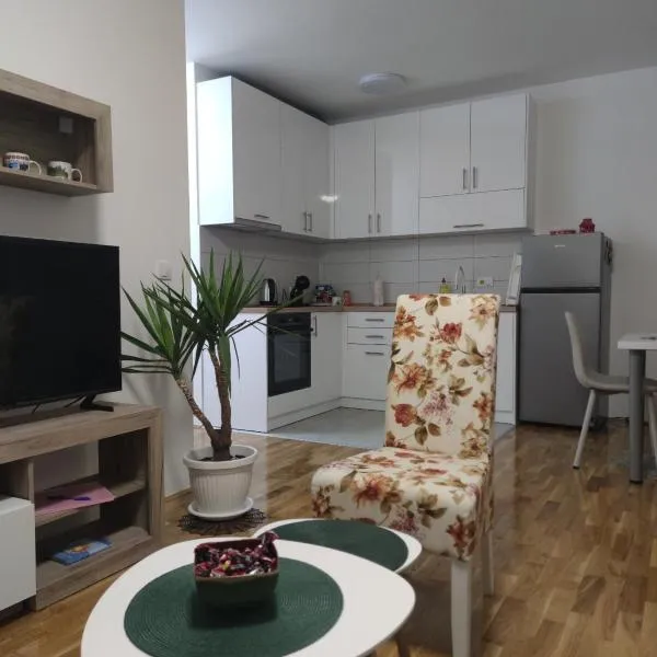 Apartman ZID，位于Smederevska Palanka的酒店