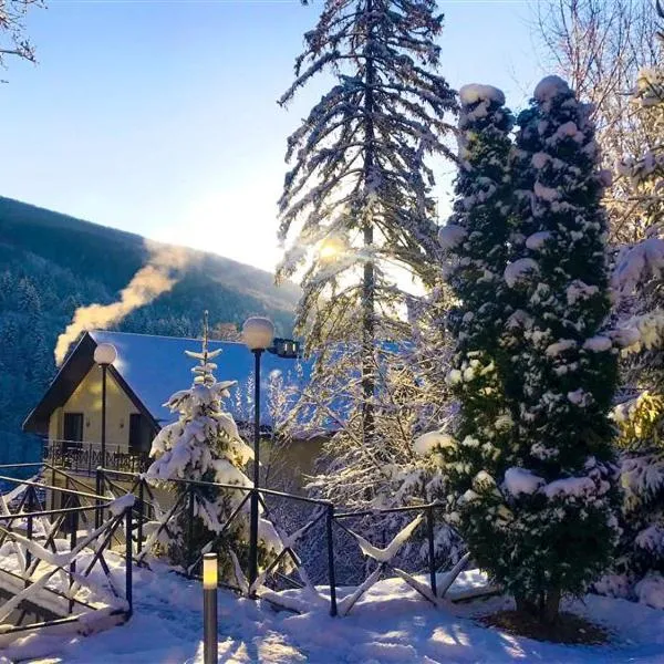 VitaPark Carpaty，位于泽德尼耶沃的酒店