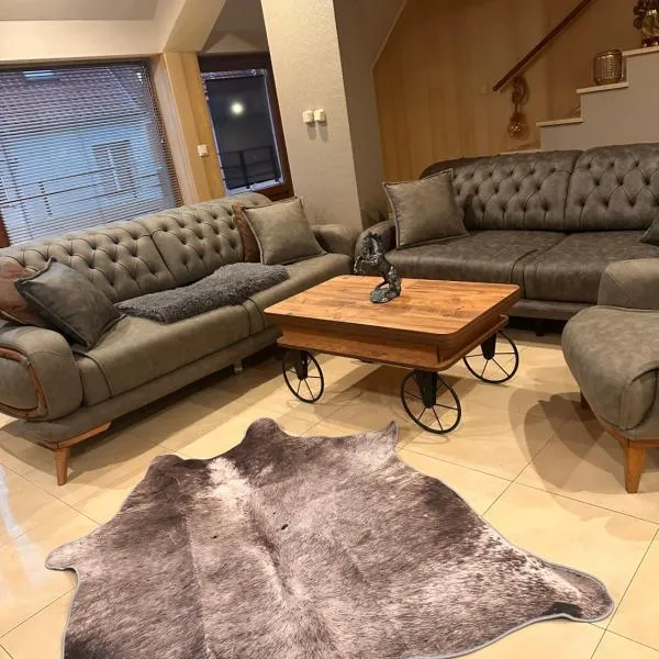 Мезонет “Djanina”，位于桑丹斯基的酒店