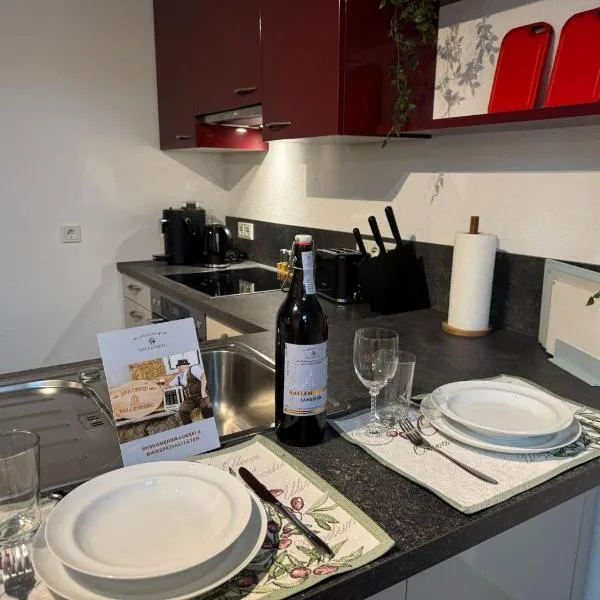 Mein Altstadt Domizil，位于哈伦贝格的酒店