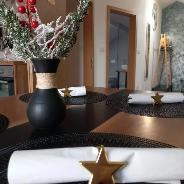 Apartman Megi & studio apartman Tomi - SELF CHECK IN，位于克拉皮纳的酒店