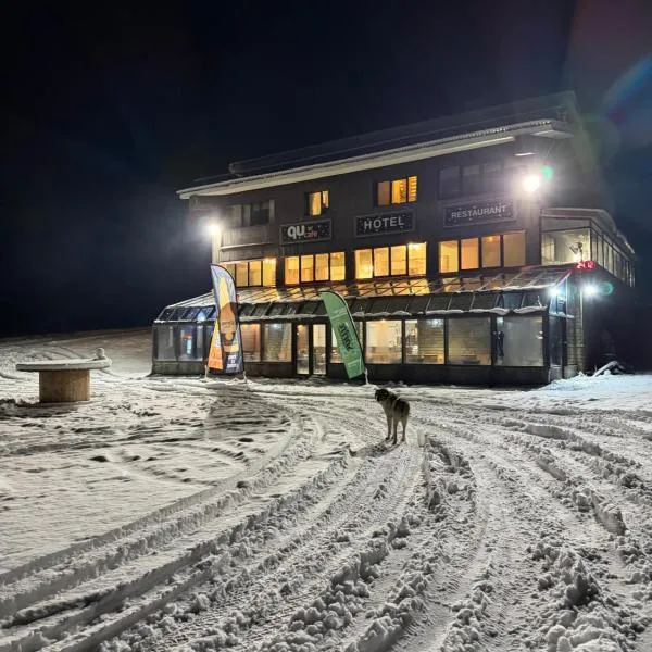 Chalet Vasilitsa，位于格雷韦纳的酒店