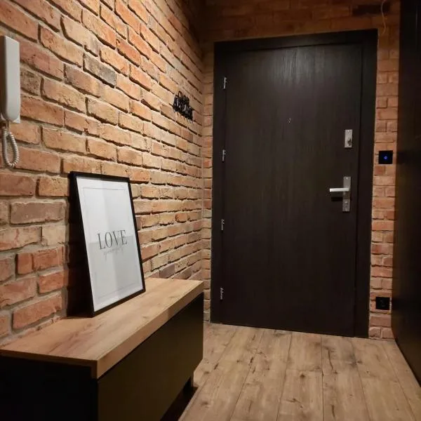 Apartament 20，位于梅斯沃维采的酒店