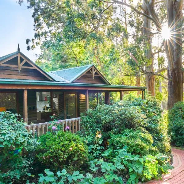 Botanica Retreat Garden Cabin in Olinda，位于奥林达的酒店