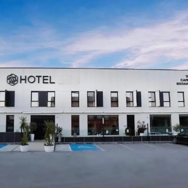 Hotel Monesterio，位于莫内斯特里奥的酒店