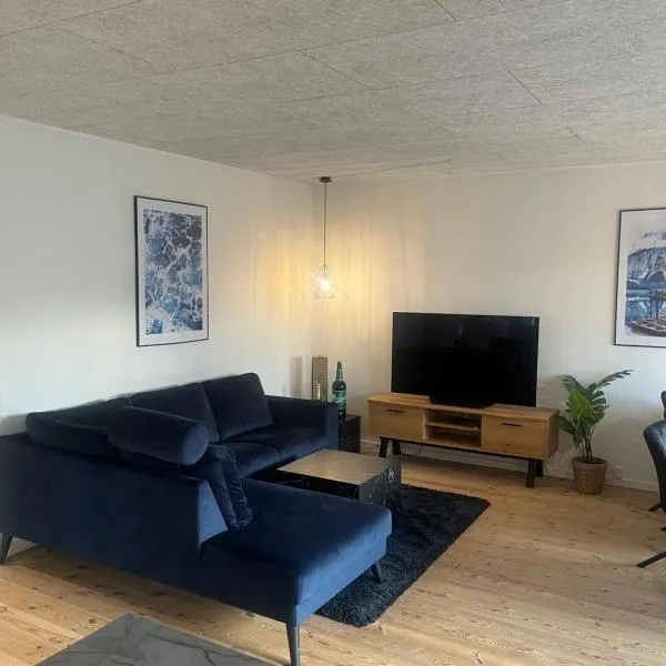 3 værelses lejlighed，位于海宁的酒店