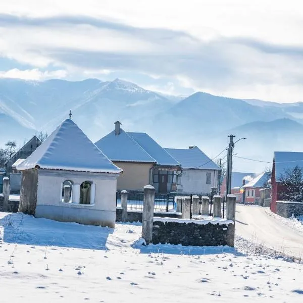 Curte la Munte - charming village house，位于Sebeşu de Sus的酒店