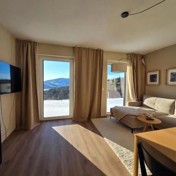 ,,Hase"，位于Riegersbach的酒店