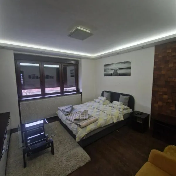 Leon，位于上米拉诺瓦茨的酒店