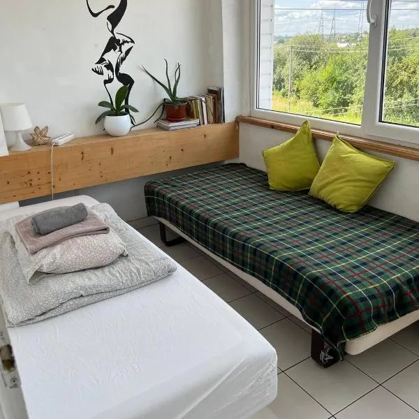 Kaunas Homestay，位于考纳斯的酒店