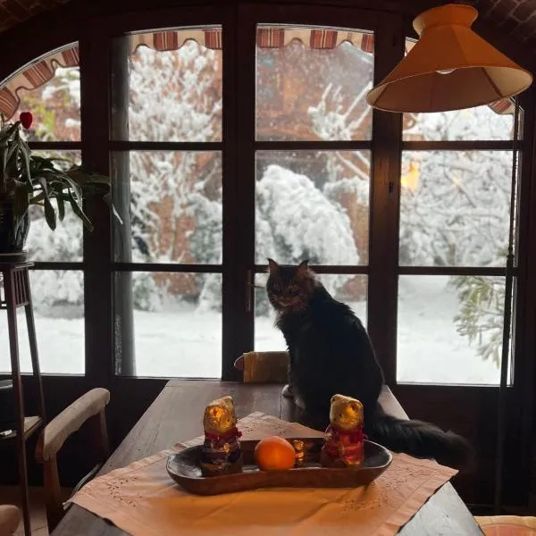 La casa Arancione，位于Boves的酒店