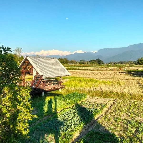 Ricefield Homestay มองนาภูคาน่านโฮมสเตย์，位于Ban Thon (1)的酒店