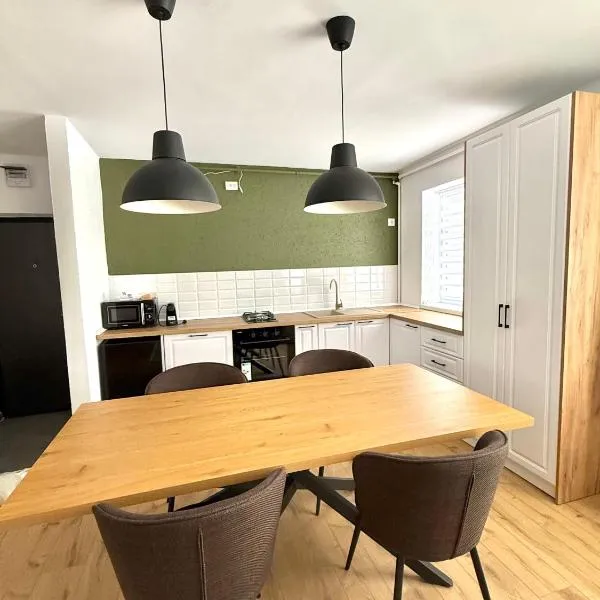 TwinNest Petrila，位于Petrila的酒店