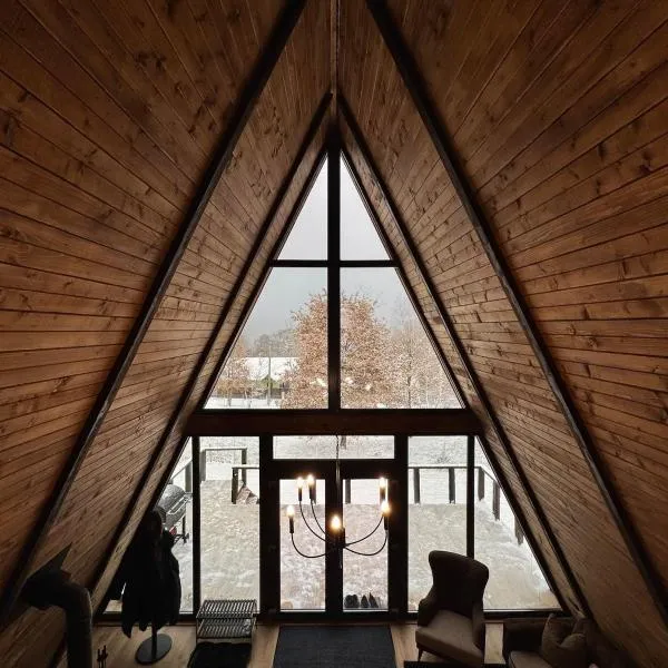 Lakewood Cabin - Surduc Lake，位于Fîrdea的酒店