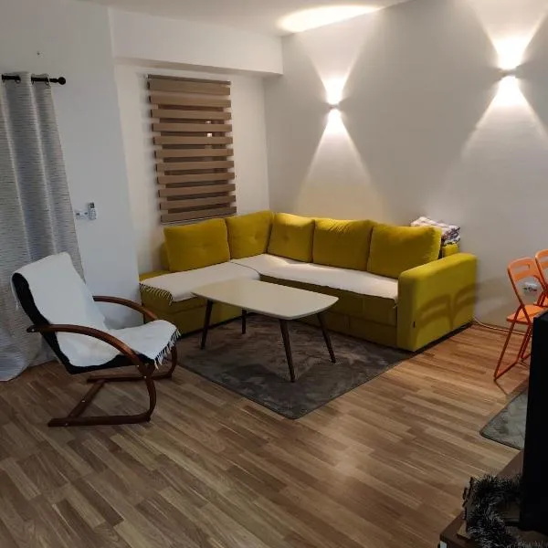 Borjan Apartment Mavrovo，位于马夫罗沃的酒店