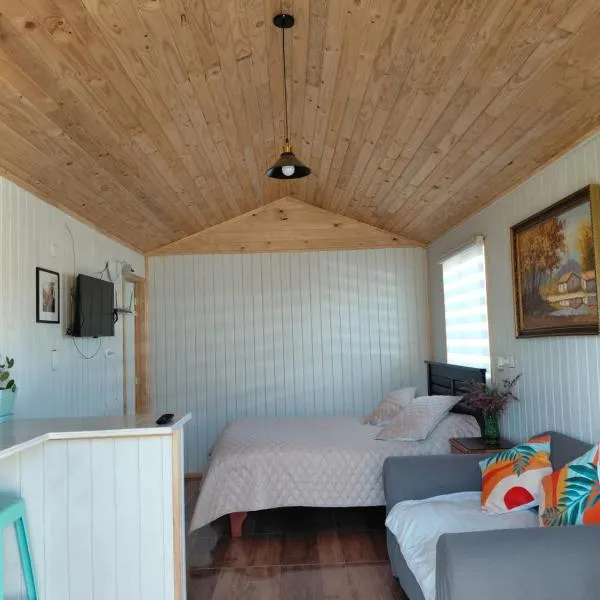 Tiny House Aeropuerto el Tepual，位于蒙特港的酒店