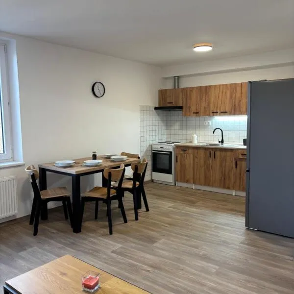 Villa Amarotico apartment 7 Plesná，位于Plesná的酒店