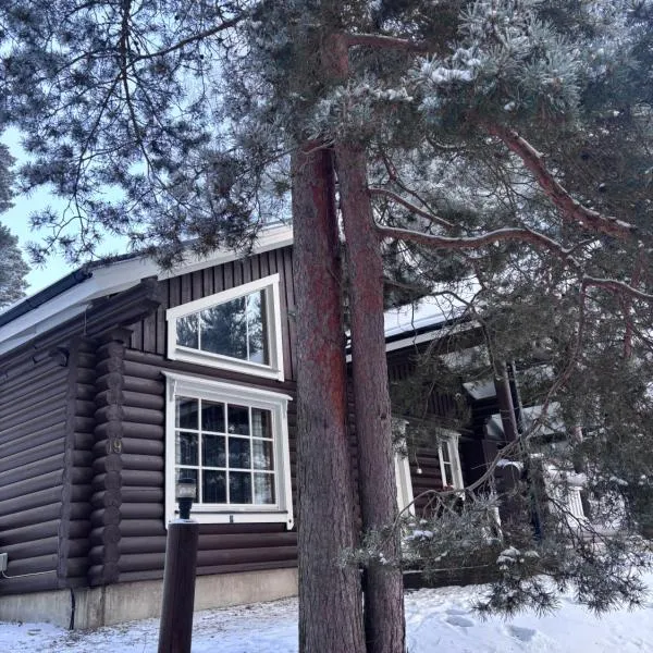 Latvahonka Cottage，位于耶姆赛的酒店