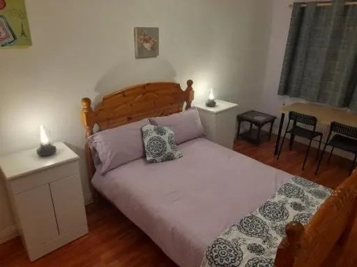 Double room beside tramline，位于Feevaghmore的酒店